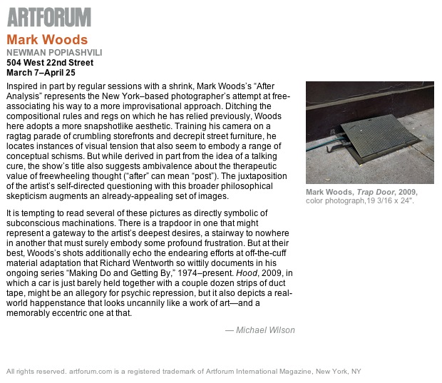 Artforum.com "Critic's Pick" review of After Analysis exhibition